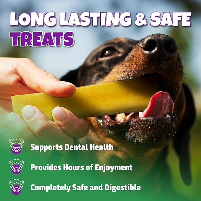 Healthy Yak Cheese Himalayan Chew, All-Natural & High in Protein, Odorless & Long Lasting Yak Chews for Large Dogs & Medium Dogs, Dog Chews for Aggressive Chewers (Large, 8-Pack)