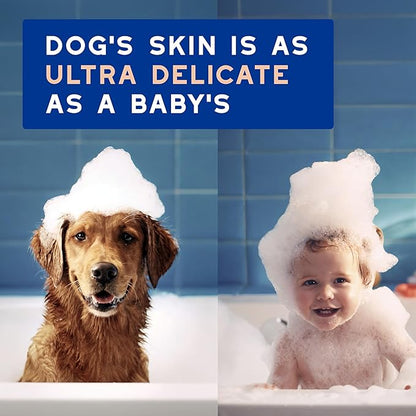 DOUXO® Skin & Coat SPA - Ultra-Safe Dog Shed Control Shampoo, 16 fl oz, Reduces Excessive Shedding, Cleans and Hydrates The Skin, Leaves The Coat Soft, Strengthened and Radiant