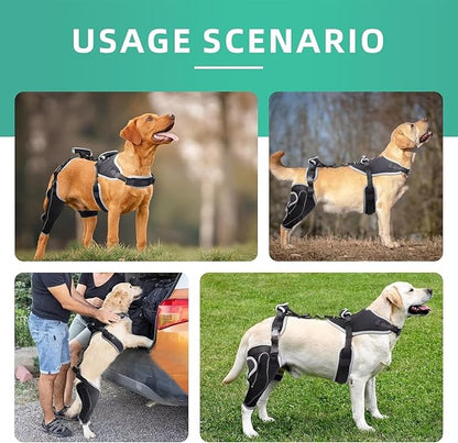 Dog Knee Brace for ACL/CCL Injuries,Torn Ligament,Pain Relief,Joint Warmth,Luxating Patella - Rear Leg Support,Black,Upgraded,Right Legs,L