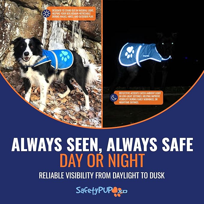 SafetyPUP XD Dog Reflective Vest – Hi-Vis Fluorescent Visibility That Helps to Safeguard Your Pet On/Off Leash in Urban & Rural Areas (Blue, Small)