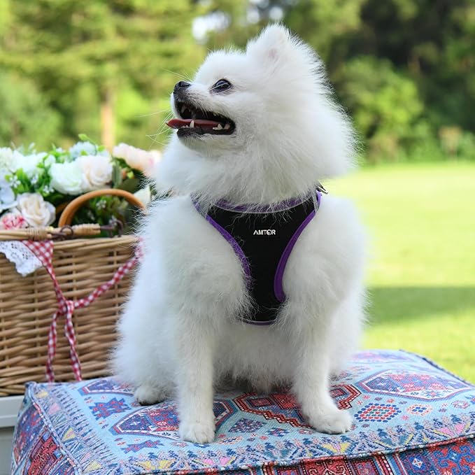 AMTOR Small Dog Harness with Leash Set, No Escape Easy Walk Puppy Harnesses for Training Walking, Step-in Reflective Soft Dogs Vest for XS S Medium Extra-Small Large Sized Dog(L,Black/Purple)