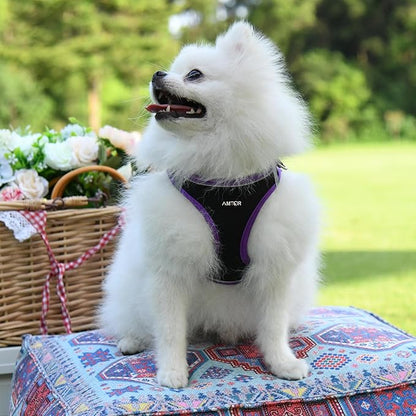 AMTOR Small Dog Harness with Leash Set, No Escape Easy Walk Puppy Harnesses for Training Walking, Step-in Reflective Soft Dogs Vest for XS S Medium Extra-Small Large Sized Dog(M,Black/Purple)