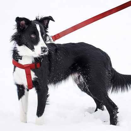 No Pull Dog Harness - Adjustable Step-in Harness & Leash Set for Small, Medium, Large Dogs - Escape Proof Soft Pet Harness for Walking, Training, Hiking, Outdoor Activities