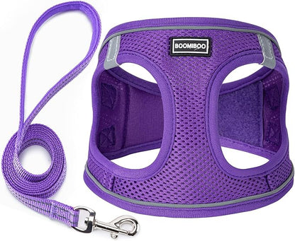 Dog Harness with Leash Set, No Pull Adjustable Reflective Step-in Puppy Pet Vest Harnesses for Small Medium Large Dogs and Cats,Purple XXS