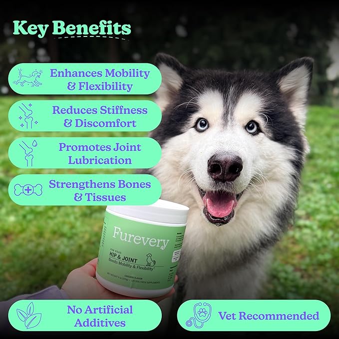 Hip & Joint Dog Supplement Chews, Chicken Flavor, 120 Count, Glucosamine, Chondroitin, MSM, Hemp Seed Oil & Turmeric, Joint Mobility, Flexibility & Comfort, Dogs of All Ages
