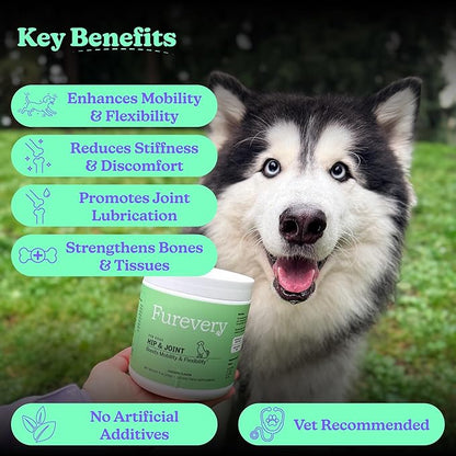 Hip & Joint Dog Supplement Chews, Chicken Flavor, 120 Count, Glucosamine, Chondroitin, MSM, Hemp Seed Oil & Turmeric, Joint Mobility, Flexibility & Comfort, Dogs of All Ages
