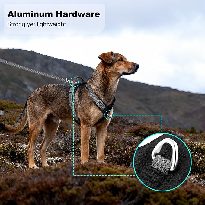 ApakBak No Pull Dog Harness – Adjustable Reflective Nylon Vest for Small Medium Large Dogs, Escape Proof Training Harness with Leather Control Handle, Lightweight Aluminum Hardware (Black, XL)
