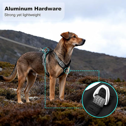 ApakBak No Pull Dog Harness – Adjustable Reflective Nylon Vest for Small Medium Large Dogs, Escape Proof Training Harness with Leather Control Handle, Lightweight Aluminum Hardware (Black, M)