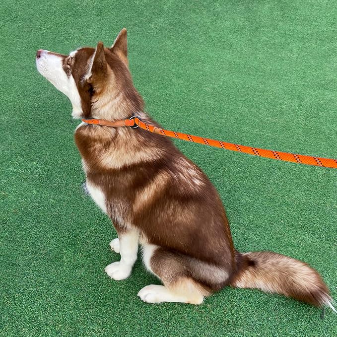 5 FT Slip Lead Dog Leash, Heavy Duty Rope Leash for Small Medium Large Dogs, No Pull Training Lead with Reflective Thread, Strong Comfortable Loop Leash (Orange Stripe, Large(1/2"))