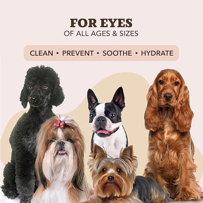 Natural Dog Paw Wipes -50 Ct- Organic, Vegan Pet Paw Wipes for Dogs, Eco-Friendly Dog Paw Wipes for Dogs, Ideal for Removing Dirt, Allergens & Moisturizes Dry Cracked Paws, Coconut Oil & Cocoa Butter