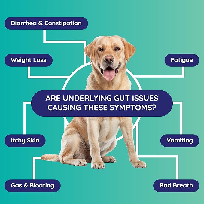 Innovative Pet Lab Comprehensive Gut Health Check for Dogs - at-Home Stool Test for Digestion, Immune & Leaky Gut Symptoms Like Diarrhea, Allergies, Itchy Skin, Bad Breath - Easy Non-Invasive Testing