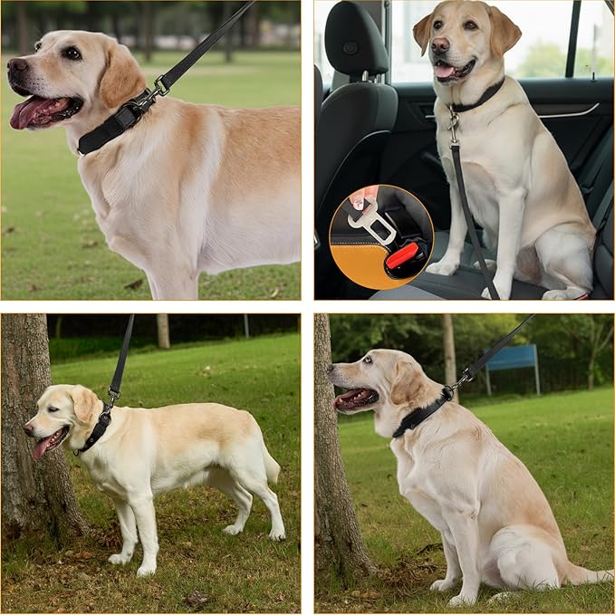 Annchwool Adjustable Dog Collar and 5 FT Leash Set with Heavy Duty Metal Buckle–Comfortable Lining Reflective Collar & Dual-Handles for Small Medium Large Dogs Walking,Running(Black Set,L:17’‘-23’‘)
