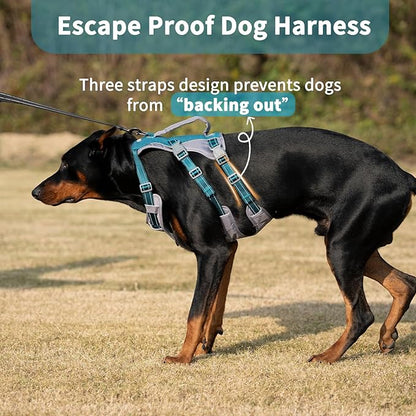 Huntboo Reflective Dog Harness with Handle, Escape Proof, No Slip, Breathable, Lightweight, Adjustable Lift Harness for Small, Medium, and Large Dogs Walking, Training, and Running Gear(Teal Blue,M)