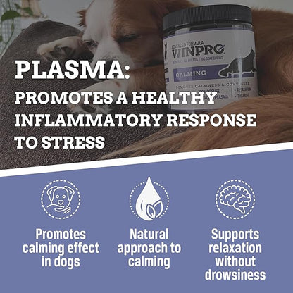 WINPRO Calming Chews for Dogs – Plasma-Powered Soft Chews to Promote Relaxation and Calming Effect – Made with Natural Ingredients, Grain-Free - Suitable for All Breeds & Sizes – 60 Count