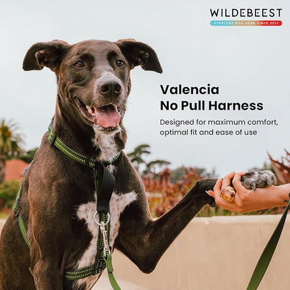 Wildebeest Valencia No Pull Dog Harness | Front and Back Leash Clips | Soft Padded Straps | Lightweight, Adjustable, Easy On/Off for Training and Dog Walking | Large Olive