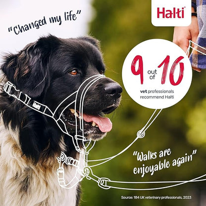 Halti Headcollar - Stop Your Dog Pulling on The Leash. Adjustable, Reflective and Lightweight, with Padded Nose Band. Dog Training Anti-Pull Collar for Small Dogs (Size 1, Forest Green)