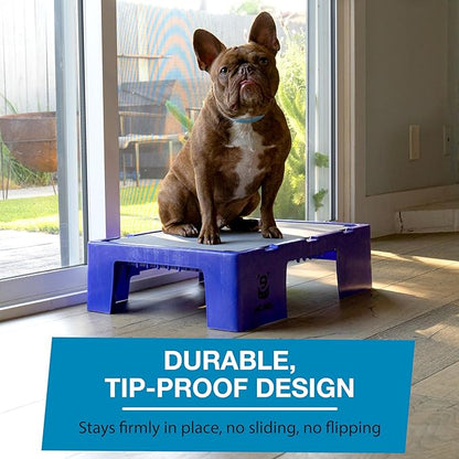 Blue-9 KLIMB Jr. Professionally Designed Dog Training Platform and DIY Guide for Behavior Basics, Made in The USA, Blue