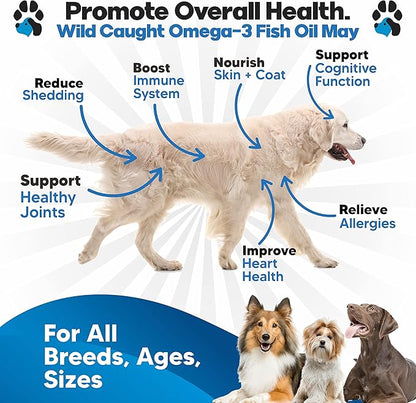 Omega 3 Fish Oil for Dogs - Better Than Salmon Oil - Dog Fish Oil Supplement to Reduce Shedding & Itching - Supports Joints, Brain, and Heart Health - Skin and Coat Supplement - Liquid Fish Oil