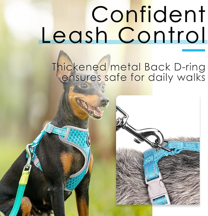 ThinkPet Reflective Breathable Soft Air Mesh No Pull Puppy Choke Free Over Head Vest Harness for Puppy Small Medium Dogs and Cats Light Blue Large