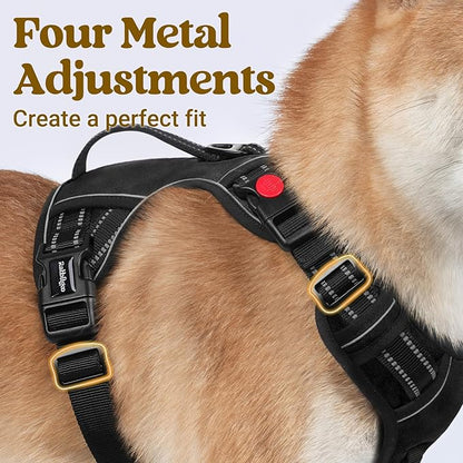rabbitgoo Dog Harness Medium Sized, No Pull Pet Harness with Soft Padded Handle, Adjustable Reflective Vest with 3 Buckles, Easy Walking Harness with 2 Leash Clips, Black, M