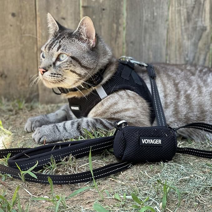 Best Pet Supplies Voyager Reflective Dog Leash or Collar with Neoprene Handle, for Small, Medium, and Large Breed Puppies, Cute and Heavy Duty for Walking, Running and Training - Black (Leash), S