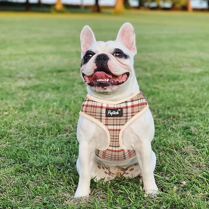 PUPTECK Soft Mesh Dog Harness and Leash Set Pet Puppy Cat Comfort Padded Vest No Pull Harnesses, Khaki, XL