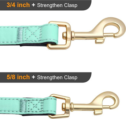 Didog 5FT Colorful Nylon Dog Leash with Soft Full-Length Padding, Lightweight and Durable Pet Leash for Small Dogs, Green, S