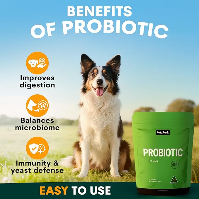 Probiotic for Dogs - Grain-Free Digestive Support Powder for Diarrhea, Bloating & Gas - Promotes Immune Support & Oral Health - Reduces Paw Licking, Allergies & Yeast Infections - 2.7 oz - 45 Scoops