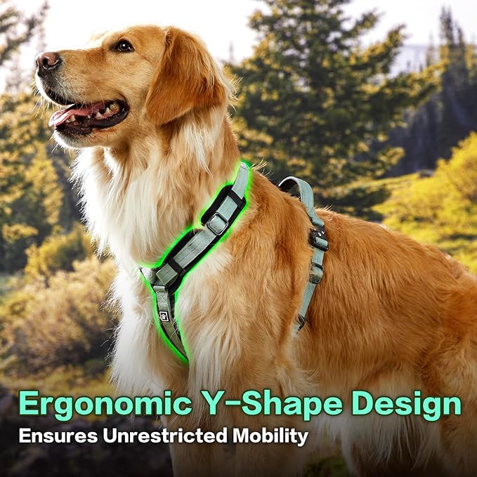 PawsPassion Dog Harness for Medium Dogs, No Pull Dog Harness Easy Walk with Metal Hardware, Ergonomic Y-Shaped Design, Soft Padding, Padded Handle, Durable High-Tensile Nylon (Seabreeze, M)