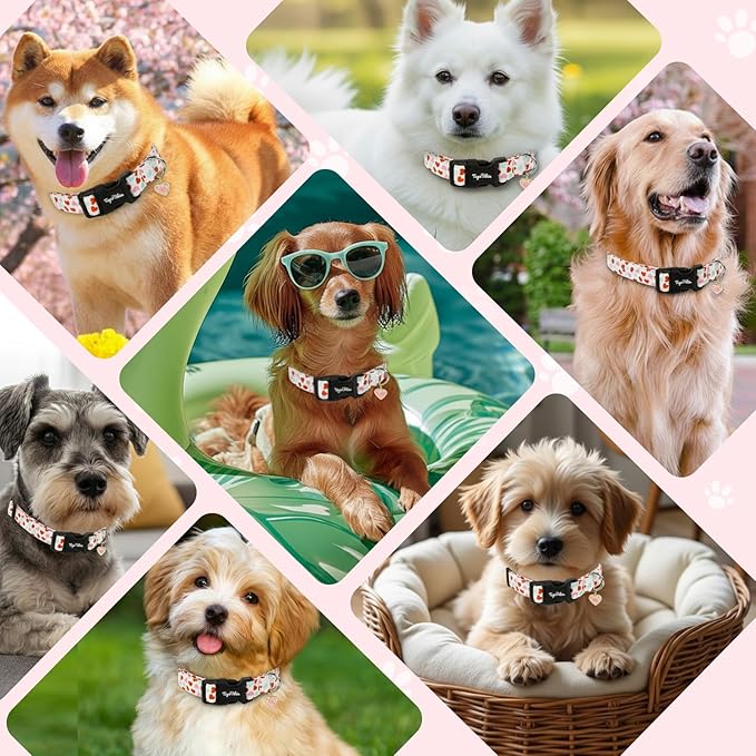 Valentines Dog Collar with Multi-Heart Pattern, Adjustable Puppy Collar with Safety Buckle & Heart Charm, Spring Summer for Girl Boy Dogs-XS