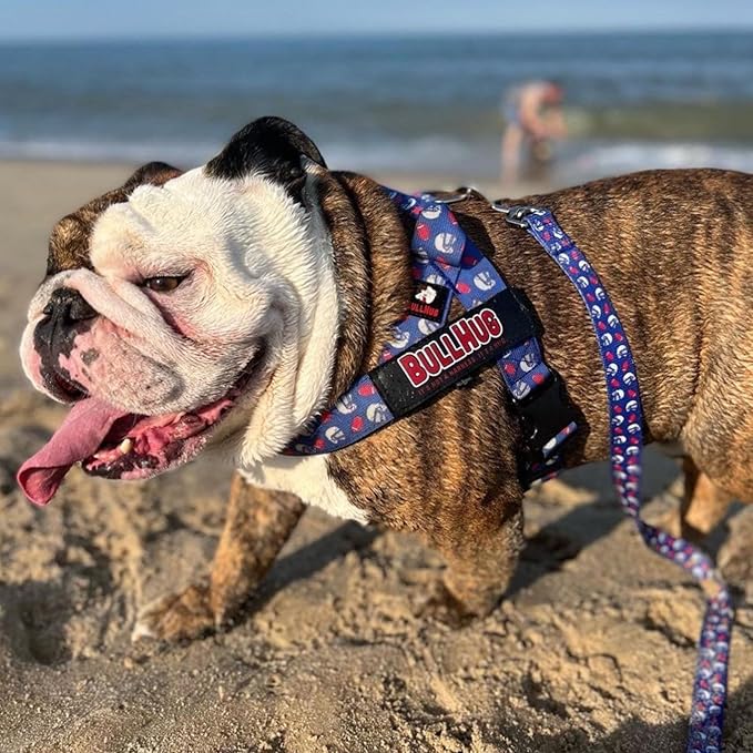 BULLHUG Adjustable Dog Harness– No Pull, No Choke – for English Bulldogs, French Bulldogs, Pugs & Broad-Chested Breeds – Easy, Safe Walks (Teal, XL)