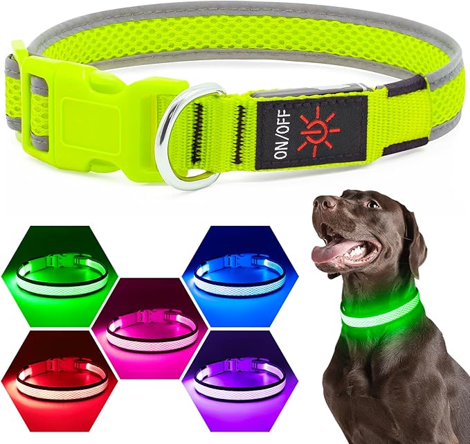 LED Dog Collar, Light Up Dog Collar USB Rechargeable, Brightest Dog Lights for Night Walking, Adjustable Dog Collar Light for Dog Safety(Medium, Neon Green)