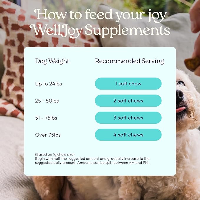 New! WellJoy Dog Supplement Joint+ GutBoost | Dog Health Supplement | Supports Healthy Flexible Joints | Dual-Benefit GutBoost Formulation | Vet Formulated | USA Made | Chicken Flavor | 90 Soft Chews