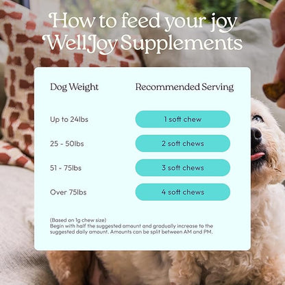 New! WellJoy Dog Supplement Joint+ GutBoost | Dog Health Supplement | Supports Healthy Flexible Joints | Dual-Benefit GutBoost Formulation | Vet Formulated | USA Made | Chicken Flavor | 90 Soft Chews