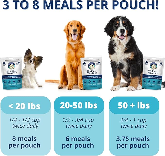 Under the Weather Bland Diet for Dogs | Easy to Digest for Sick Dogs | Always Be Ready | Contains Electrolytes - All Natural Freeze Dried 100% Human Grade Meats | 2 Pack - Chicken, Rice - 6oz