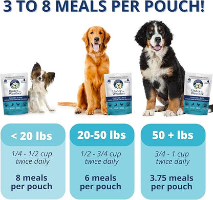 Under the Weather Bland Diet for Dogs | Easy to Digest for Sick Dogs | Always Be Ready | Contains Electrolytes - All Natural Freeze Dried 100% Human Grade Meats | 2 Pack - Chicken, Rice - 6oz