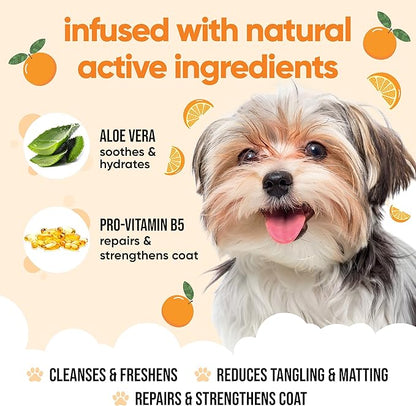 Orange Dog Shampoo & Conditioner by Buddycare (169.07oz)
