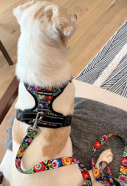 Lucky Love Dog No Pull Dog Harness, Adjustable and Easy to Walk, Cute Patterned Harness for Small Medium Large Male & Female Dogs - Blackbird, Small