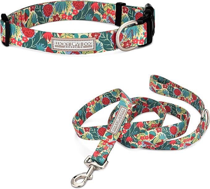 Lucky Love Dog - Easy Click Buckle Dog Collar with Leash Set Combo, Durable & Comfortable for Male & Female Dogs, Pet Collar for Small Dogs, Secure Fit - Ginny Combo, Small