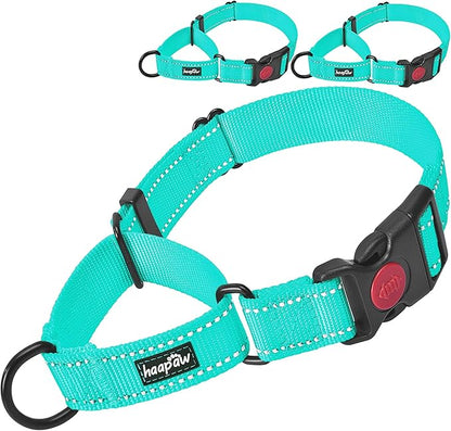 haapaw 2 Packs Martingale Dog Collar with Quick Release Buckle Reflective Dog Training Collars for Small Medium Large Dogs (Large, Turquoise/Turquoise)
