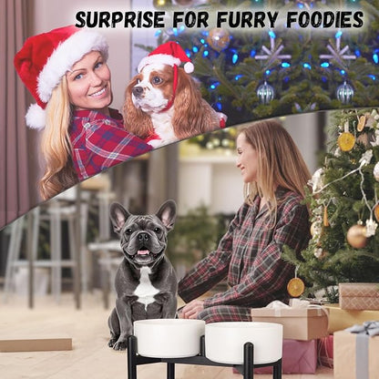 Raised Ceramic Dog Bowl Set - Elevated Double Dishes with Stainless Steel Stand - Food and Water Bowls for Small to Medium Dogs - Each Holds 2 Cups (28.75 fl oz) - Grey