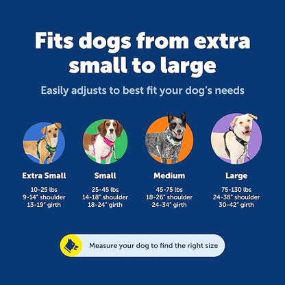 PetSafe Easy Walk Comfort No-Pull Dog Harness - Better Walk Training Harness - Full Body Padded Design - Durable Fabric - 5 Point Adjustable Fit - Everyday Leash Training - Blue - X-Small