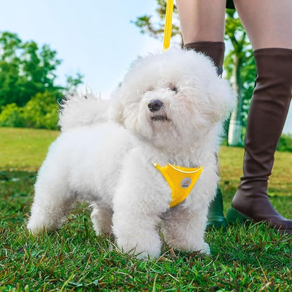 Hipubby Dog Harness and Leash Set, No Pull Soft Mesh Puppy Harness for Small Medium Dogs, Cats - Step in Reflective Breathable Lightweight Vest Harness for Walking, Training - Yellow, L