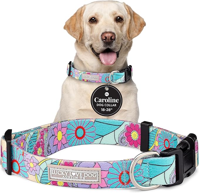 Lucky Love Dog - Adjustable Dog Collar with Easy Click Buckle for Large Ones, Durable, & Comfortable for Male & Female Dogs, Pet Collar for Puppies & Adult Dogs - Caroline, XL
