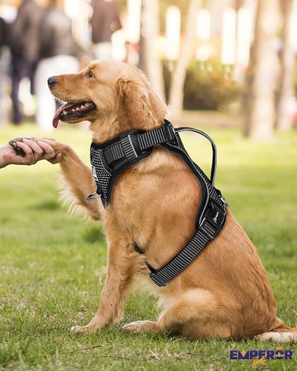 Emperor Pets Black Reflective Dog Harness Small Sized Dog - No Pull Dog Harness with 2 Leash Clips, Premium Oxford Soft Padded Puppy Harness, No Choke Design, Small Dog Harness (S, Black)