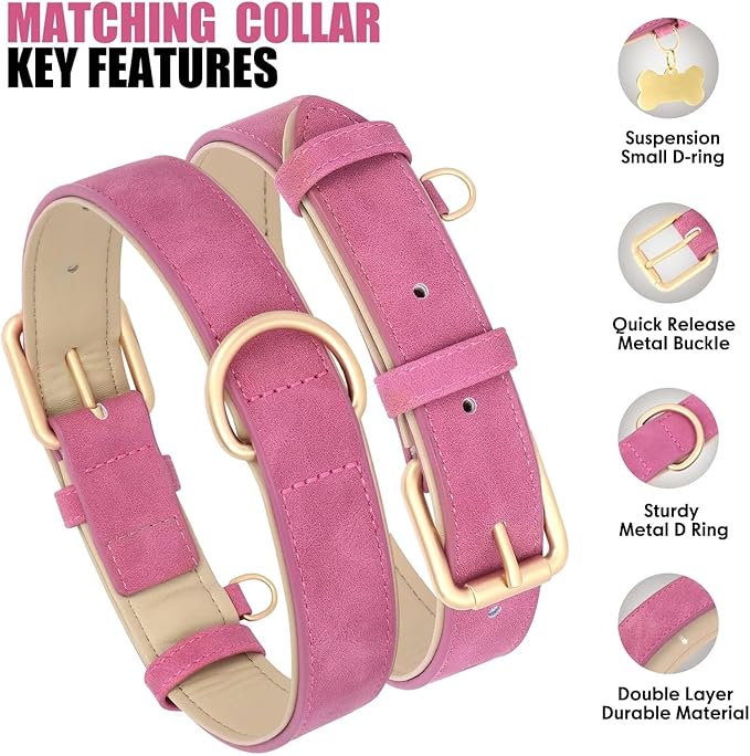 Beirui Soft Padded PU Leather Dog Collar and Leash Set, Durable Dog Leash and Collar Set with Metal Buckle, Breathable Pet Collars with 4FT Leash for Small Dogs(Rose, Neck 10-13")