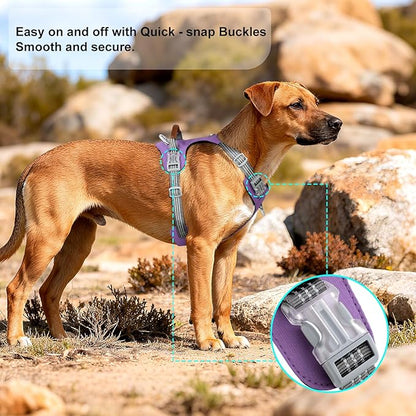 ApakBak No Pull Dog Harness – Adjustable Reflective Nylon Vest for Small Medium Large Dogs, Escape Proof Training Harness with Leather Control Handle, Lightweight Aluminum Hardware (Purple, M)