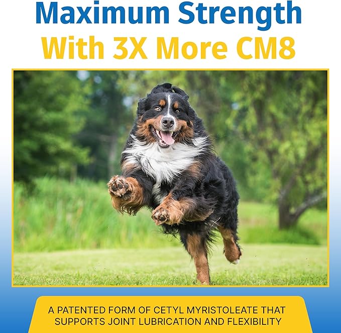 Hip & Joint Supplement for Dogs & Cats with Cetyl Myristoleate, Glucosamine, Collagen, MSM - Max Strength Joint Support for Mobility, Senior Pets, Large Breeds - 60 Soft Chews (Bacon/Cheese)