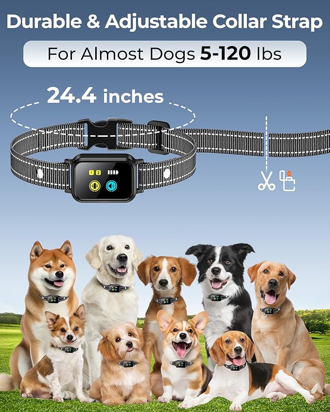 Small Dog Training Collar with Remote 3300FT, Humane Vibrating Dog Collar - Vibration & Beep Only | IPX7 Waterproof & Rechargeable | Fits for Puppies Medium Large Dogs (No Shock)