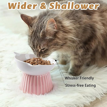 Wellbro Ceramic Raised Cat Bowl，Tilted Raised Bowl Anti Vomit for Indoor Cats Whisker Friendly Pet Feeder for Cats Puppies, Microwave and Dishwasher Safe (Blue)